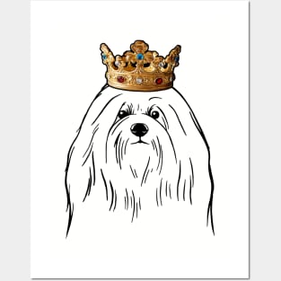 Coton de Tulear Dog King Queen Wearing Crown Posters and Art